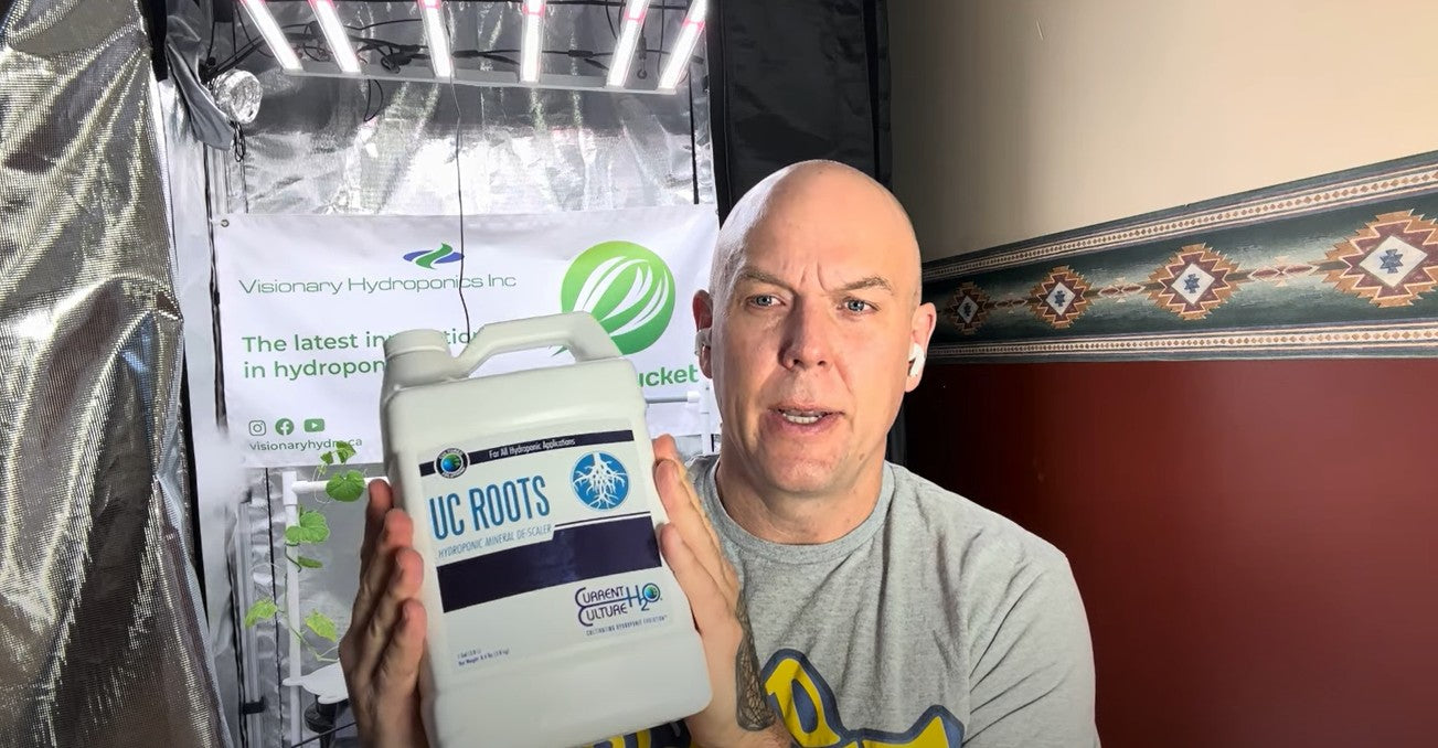 Enzymes, Microbes & Sanitized Hydroponics: Finding the Balance