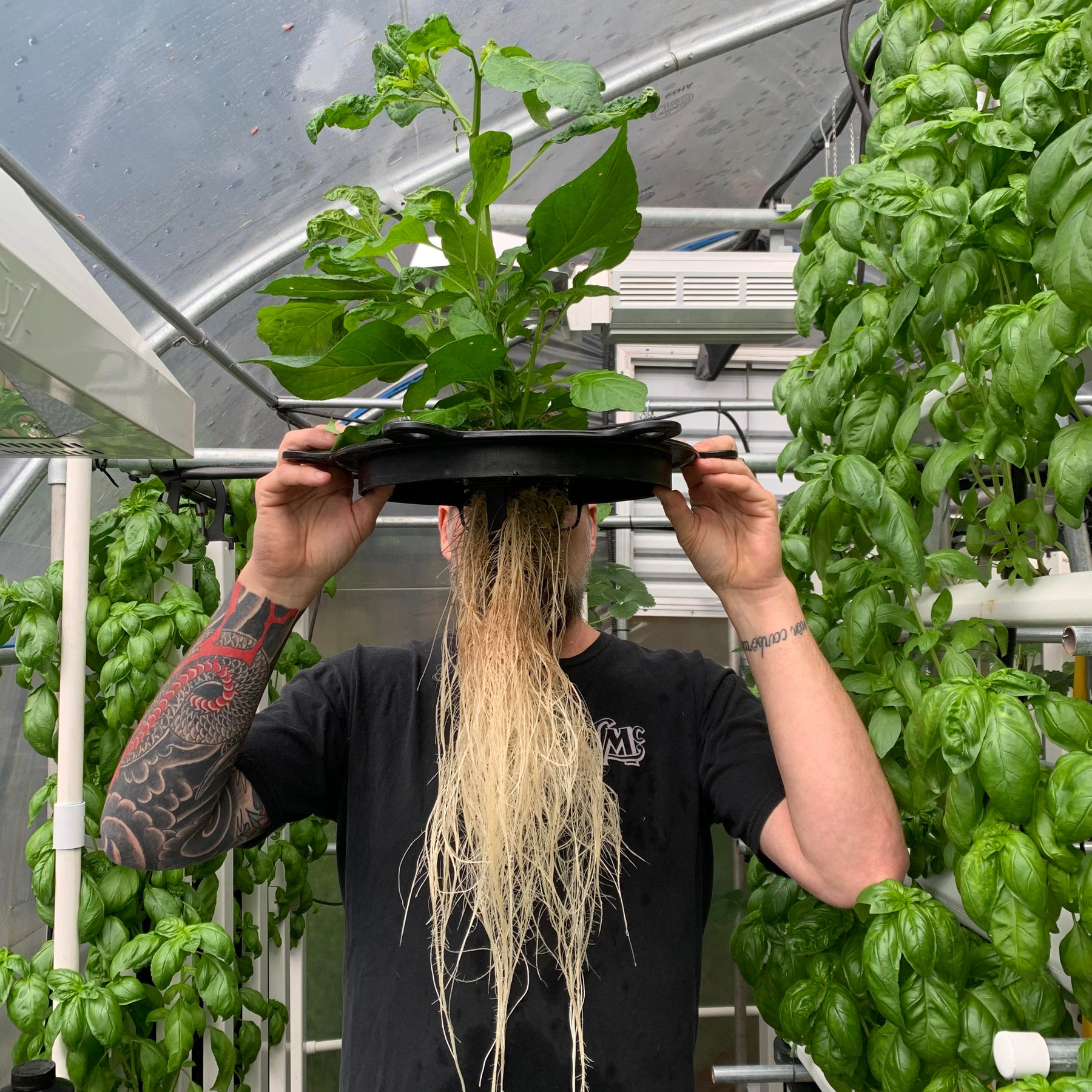 How to Start a Hydroponic Garden at Home: A Beginner's Guide.
