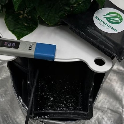 Why You Don’t Always Need a Chiller