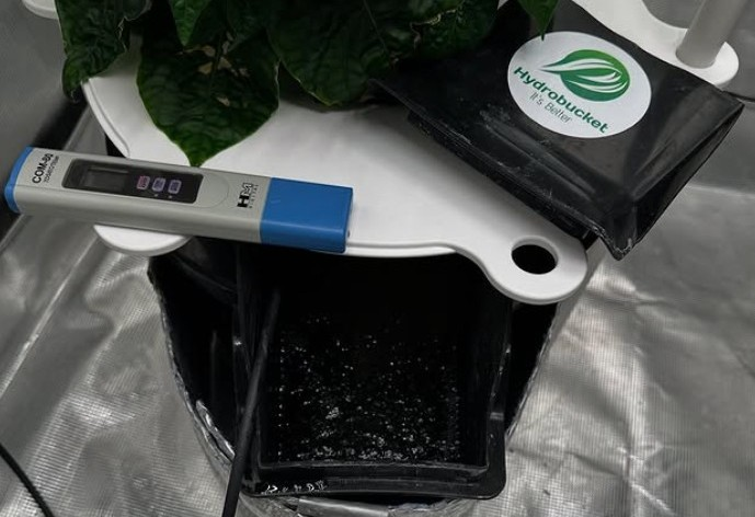 Why You Don’t Always Need a Chiller