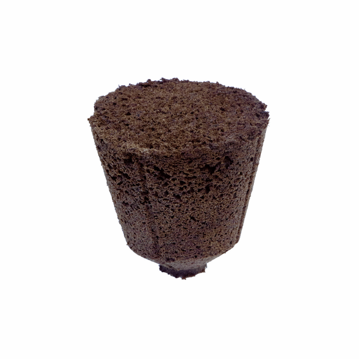 image of one hydro plug seed